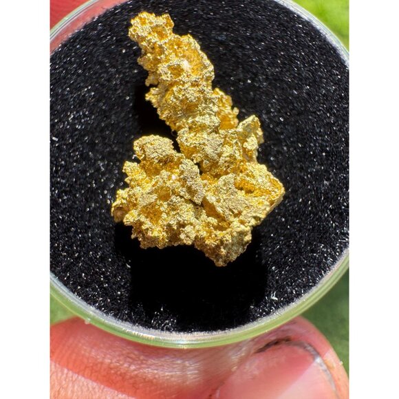 California Native Gold Crystal - 1.54 grams - Picture 3 of 7